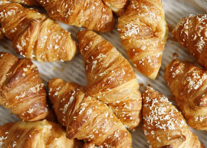 Cosmopolitan Bolonya