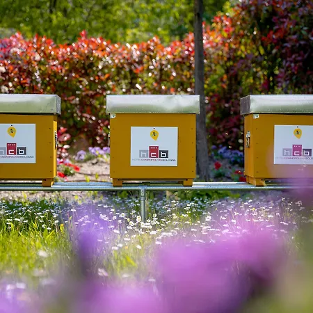 コスモポリタン ボローニャ